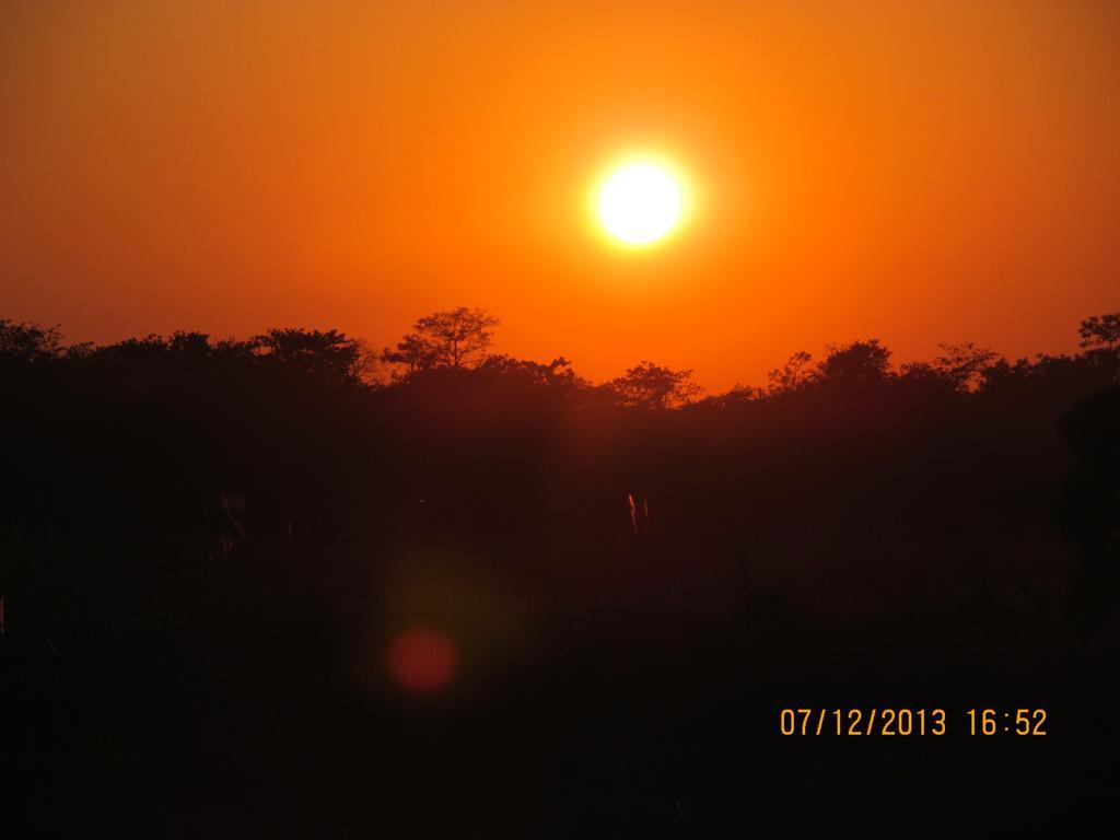 Chitwan Tiger Camp 3*