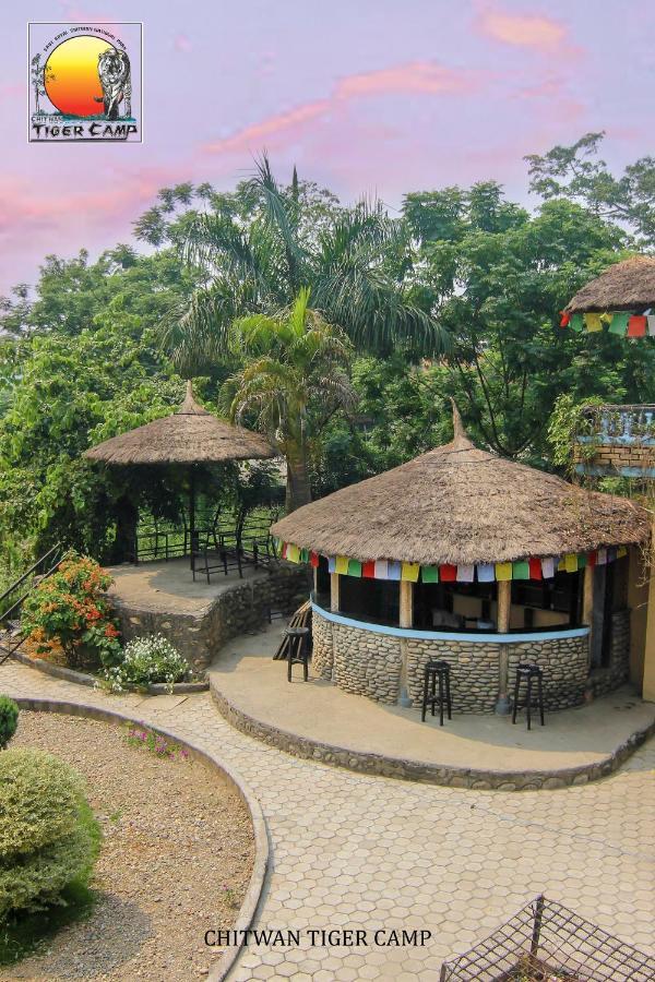 Resort Chitwan Tiger Camp Sauraha